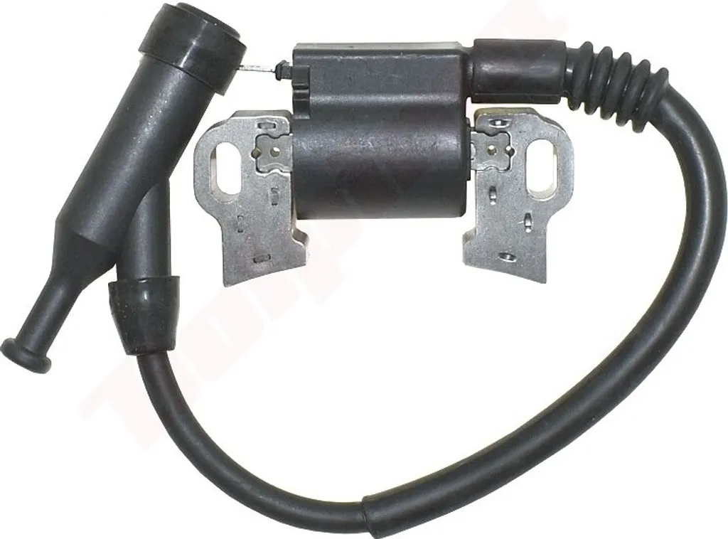 Modulo Accensione Magneto 797769 per Briggs & Stratton - Alta Qualità