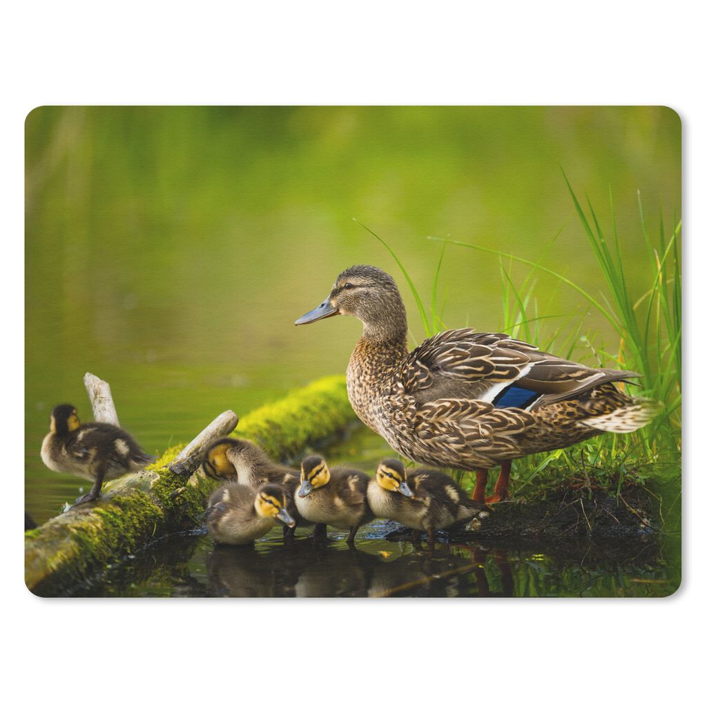 MuchoWow Mauspad Mousepad Ente - Vögel - Wasser - Zweig - Moos 23x19 cm - Mousepads - Maus Mat - Pad - Mausunterlage - Schreibtischunterlage - M...