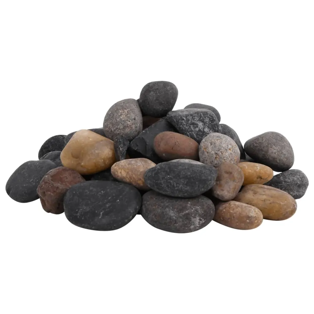 Pietre Giardino vidaXL 25kg Multicolore 5-8cm Ciottoli Lisci