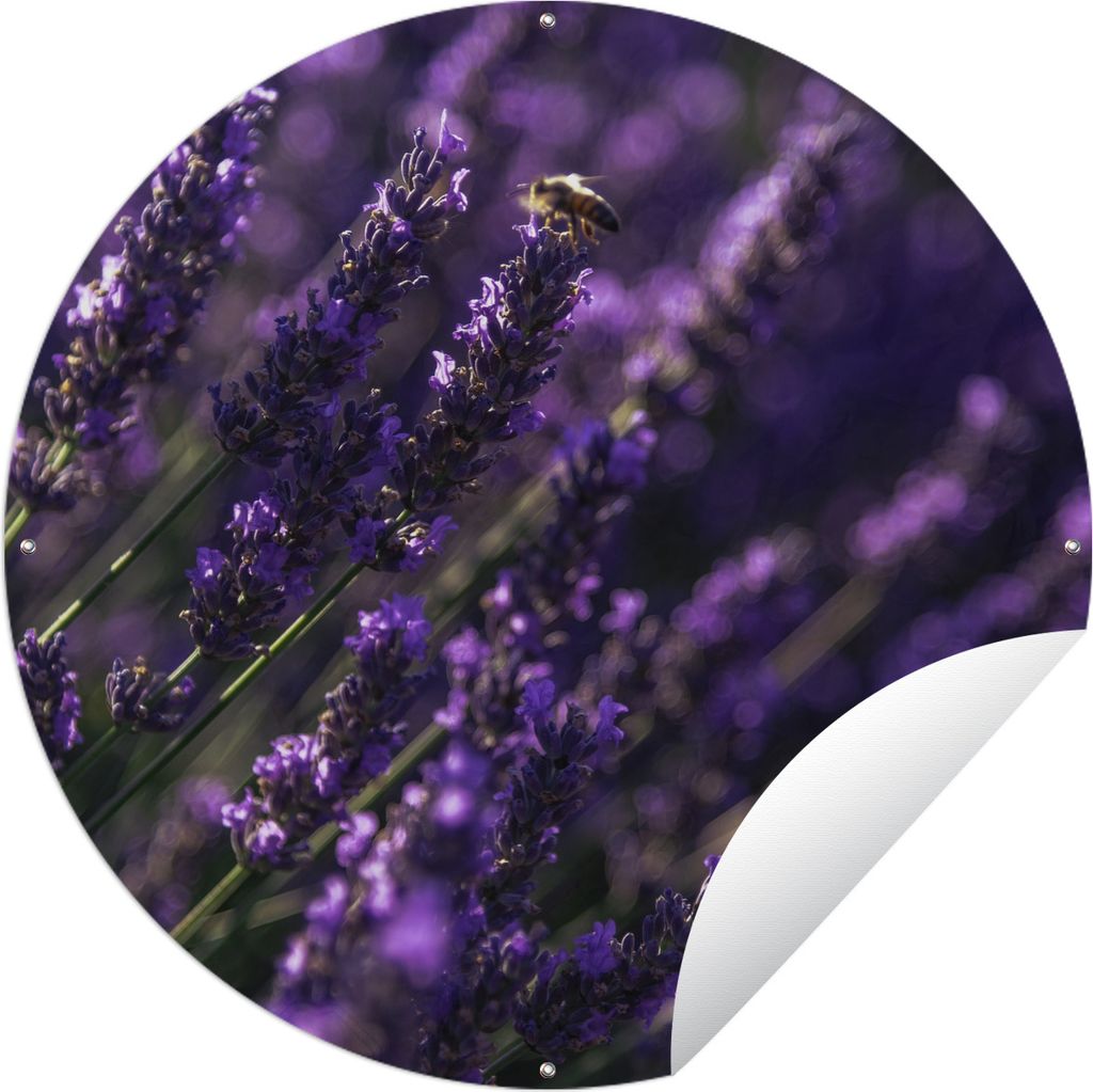 MuchoWow Gartenposter Outdoor-Poster Rund Nahaufnahme von Lavendel mit Biene Ø 90 cm Gartendeko Rundes Poster draußen