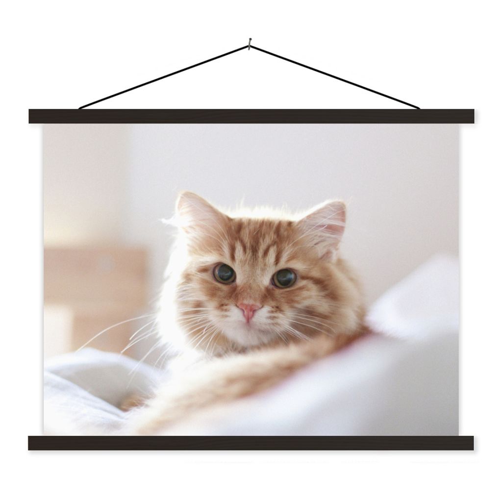 MuchoWow Textilposter Katze - Rot - Bett - Mädchen - Kinder - Jungen 120x90 cm mit schwarzem Rahmen - Aufhänger für Poster
