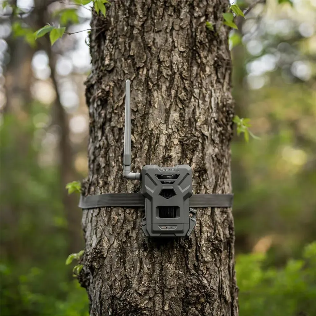 Caméra de chasse connectée Spypoint FLEX-M Twin Pack - Lot de 2 unités - 9