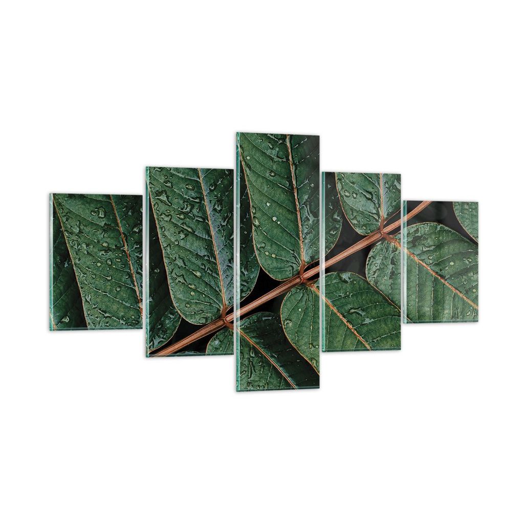 Bilder auf glas - 5 Teile - Tropfen Wasser Blätter - 125x70cm - Glasbilder - Wandbilder - Bilder - zum Aufhängen bereit - Wanddekoration aus Glas...