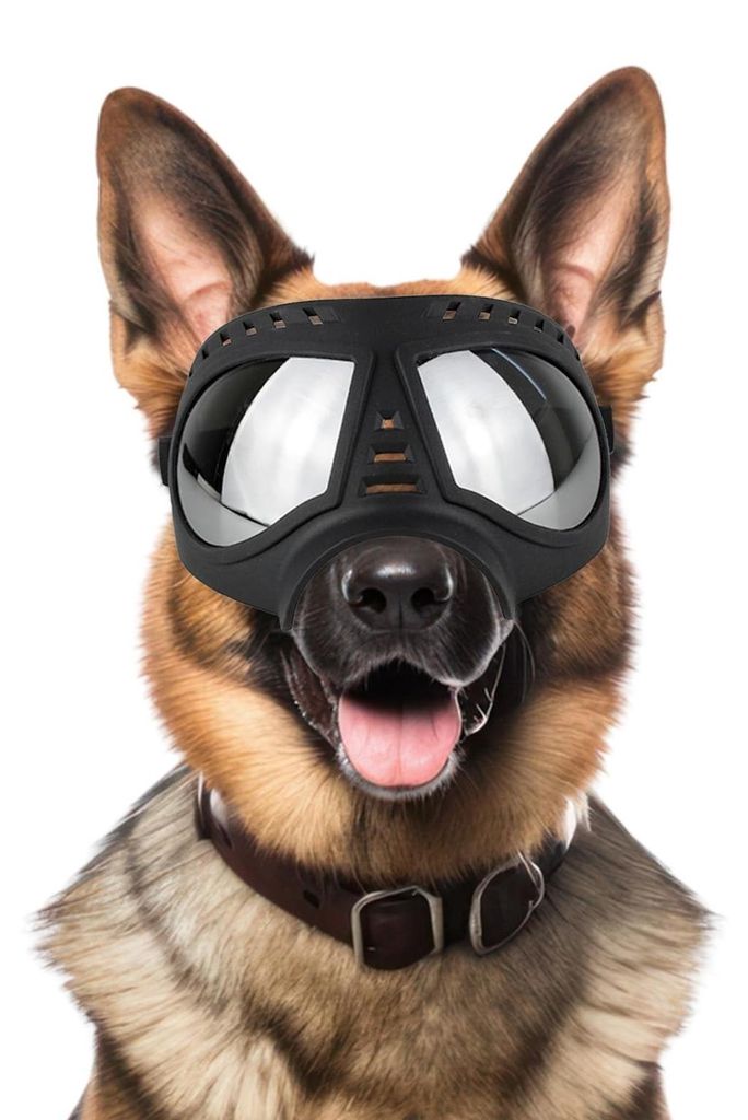 Gafas de sol para perros con protección UV Imagen del producto 