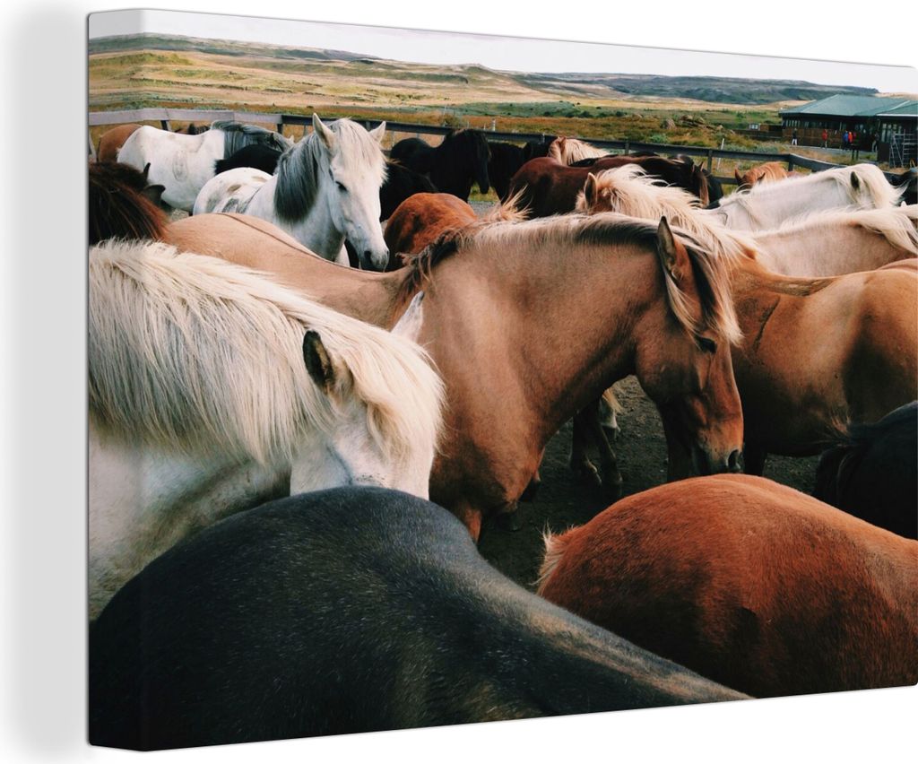 OneMillionCanvasses - Leinwandbilder - 150x100 cm, Pferde - Tiere - Spiel, Wandbilder Kunstdruck Wanddekoration - Foto auf Leinwand - Gemälde au...