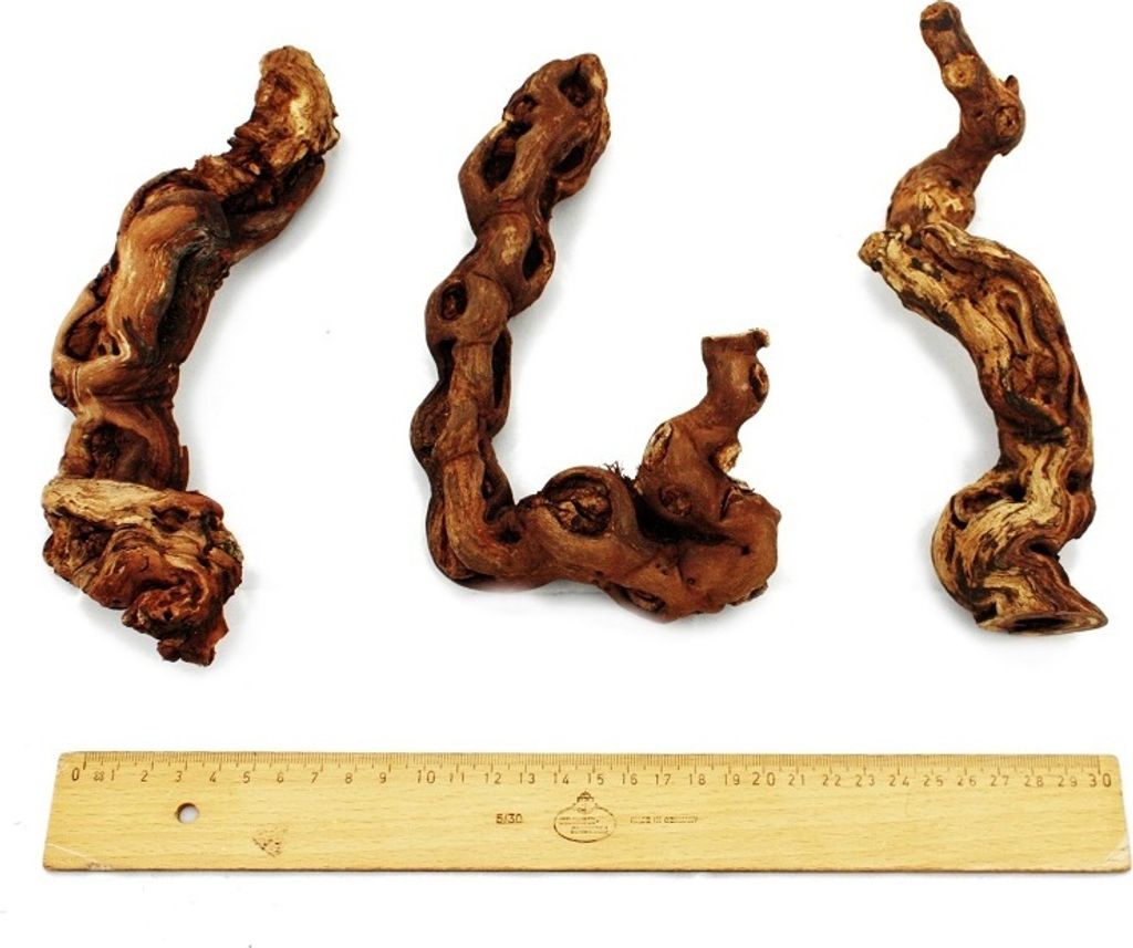 Rebholz 18-20 cm Produktbild 3