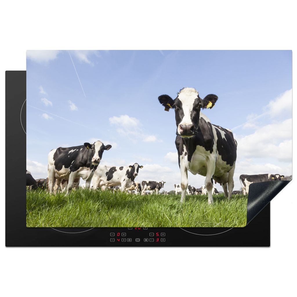 KitchenYeah Herdabdeckplatte Kühe - Tiere - Weide - Niederländisch , 76x51cm, Küche Deko, Glaskeramikkochfeld Herdabdeckung, Abdeckplatte fùr...
