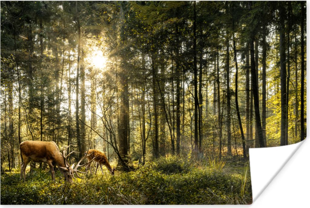 MuchoWow Poster Hirsche - Natur - Wald 120x80 cm - Bilder