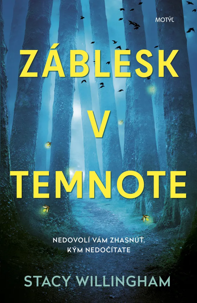 Lecture de vacances suspense Záblesk v temnote, Stacy Willingham livre