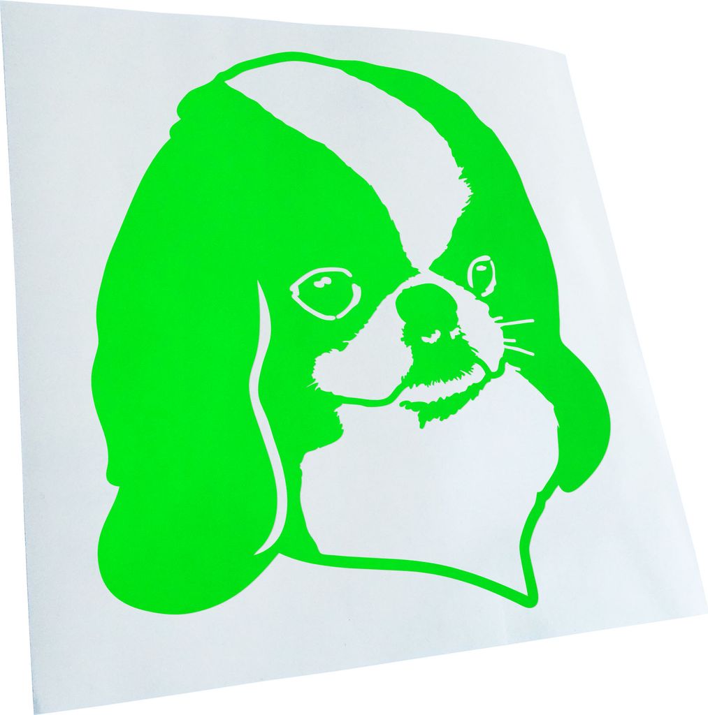 Kiwistar - Autoaufkleber - Japanese chin Hund - Lindgrün - 11x10cm - Aufkleber für Auto, Laptop, Fahrrad, LKW, Motorrad mehrfarbig JDM Decal Racing