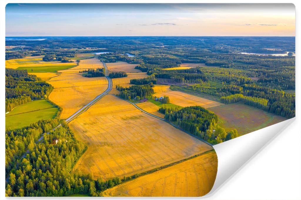 Muralo XXL Selbstklebende FOTOTAPETE FELDER Baeume Aussicht Vogelperspektive (B) 520 cm x (H) 318 cm Tapete Wandtapete WOHNZIMMER SCHLAFZIMMER 4608