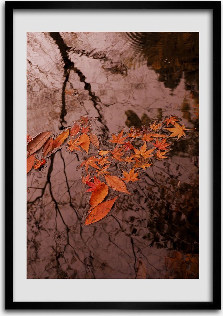 Bild - Bilderrahmen - 50 cm x 70 cm - MDF - Rahmen - Wandkunst Herbstlaub