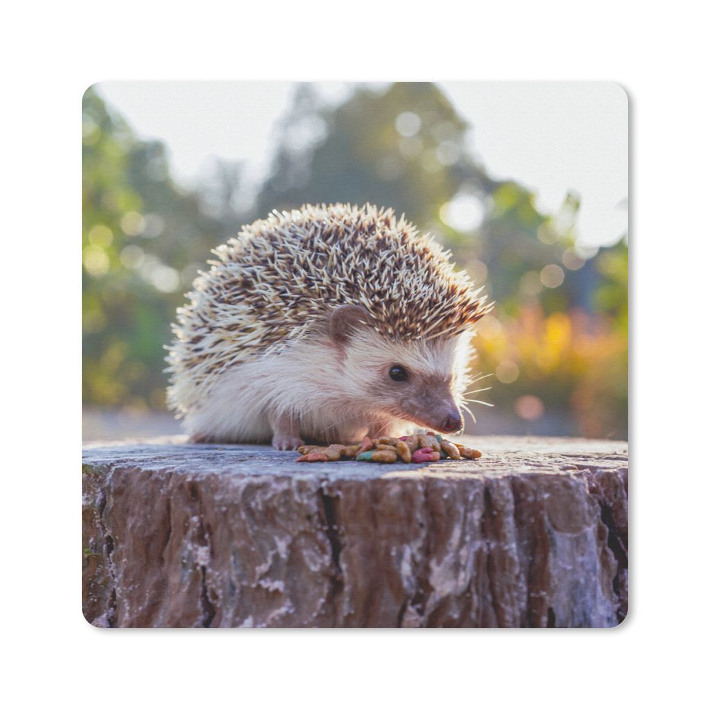 MuchoWow Mauspad Mousepad Igel - Baumstumpf - Sonne 30x30 cm - Mousepads - Maus Mat - Pad - Mausunterlage - Gaming