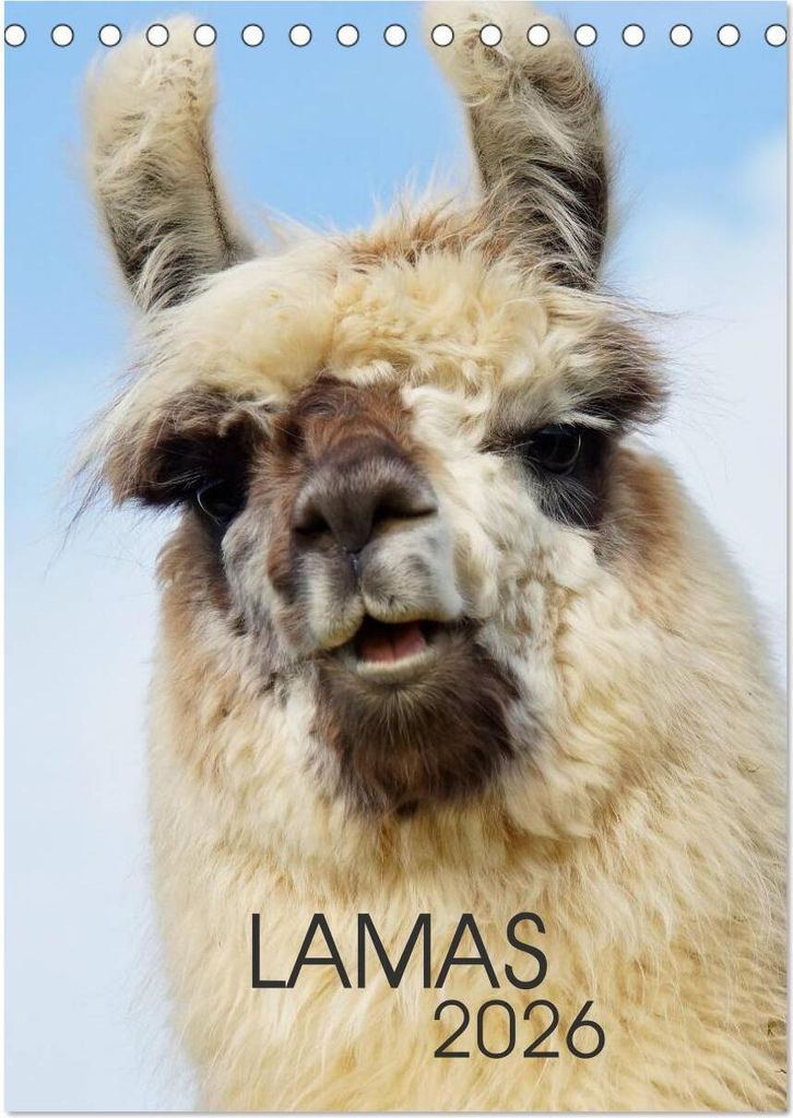 LAMAS (Tischkalender 2026 DIN A5 hoch), CALVENDO Monatskalender