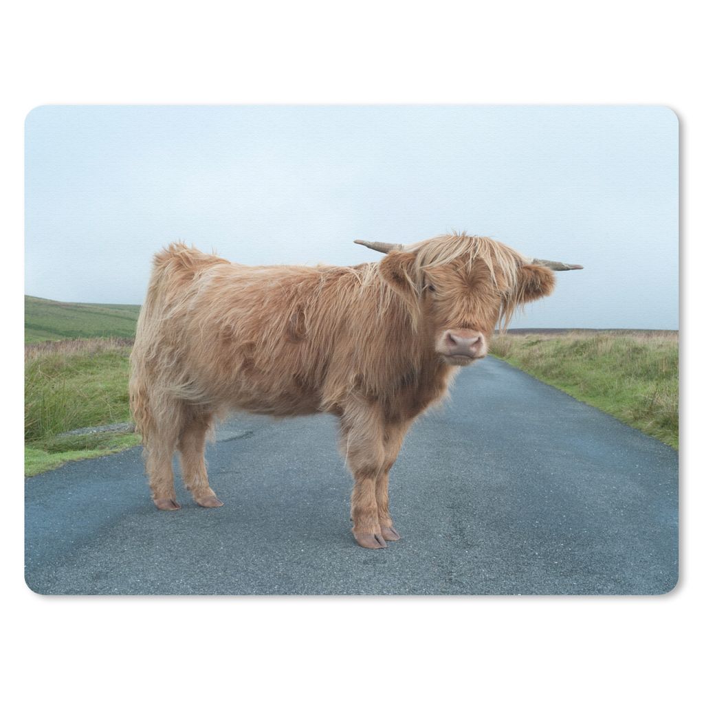 MuchoWow Mauspad Mousepad Scottish Highlander - Straße - Gras 23x19 cm - Mousepads - Maus Mat - Pad - Mausunterlage - Schreibtischunterlage - Ma...