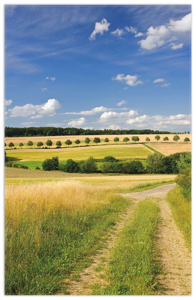 Wallario Premium Teppich, Größe 90 x 140 cm, Feldlandschaft unter blauem Himmel