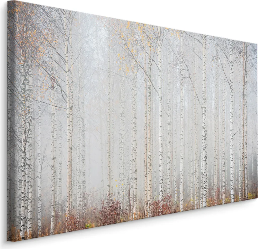Favolosa tela SCREEN PICTURE 70x50 cm XXL stampa d'arte foresta alberi betulla nebbia