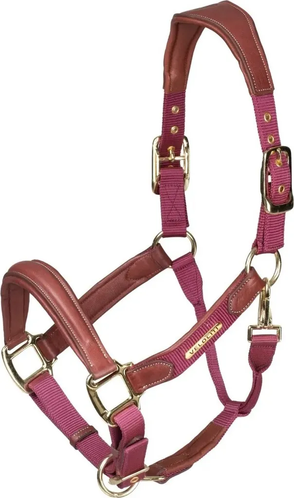 Cavezza Velociti Lusso Pony in Pelle Bordeaux Imbottita ER1675 Shires
