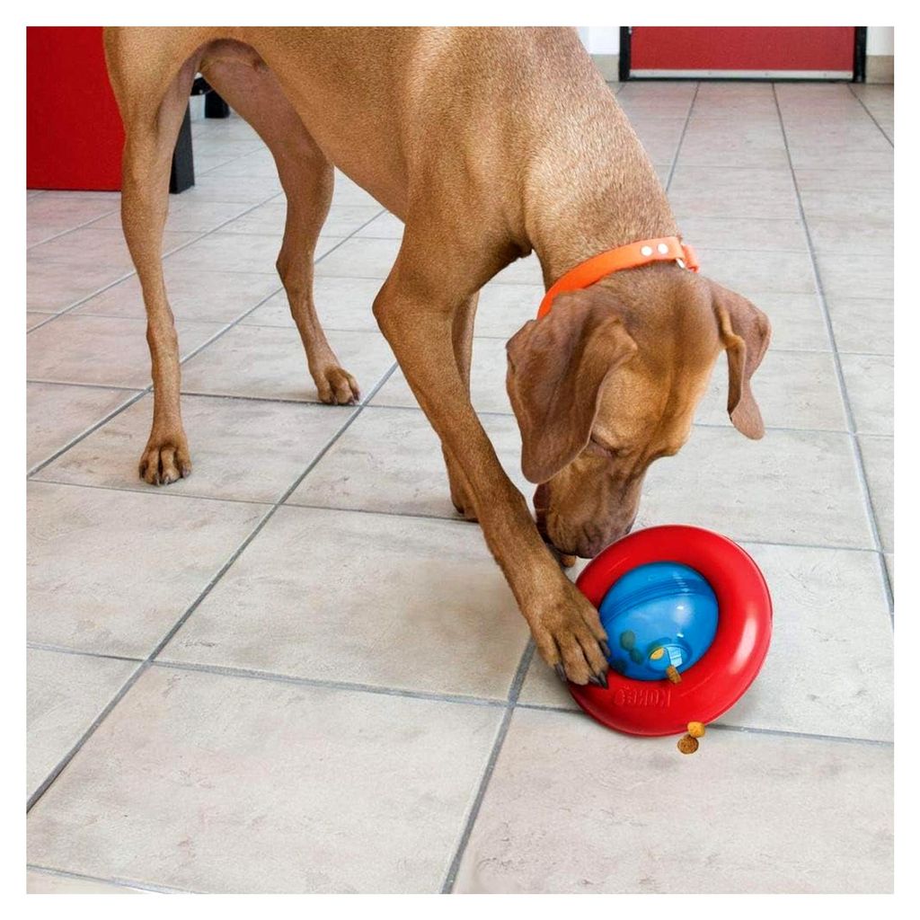 Gyro - Interaktives Hundespielzeug mit Leckerlispender - Langsame Fütterung für gesundes Essen - Für kleine Hunde
