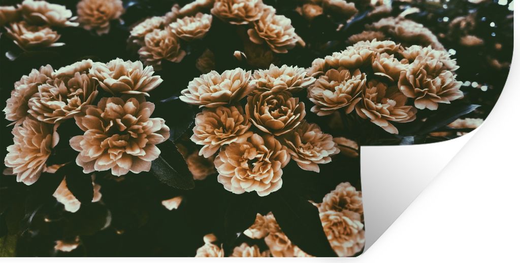 MuchoWow - Aufkleber