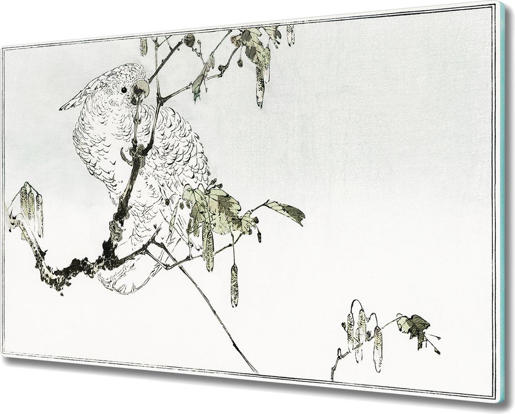 Coloray Hackbrett Kochplattenabdeckung Herdabdeckplatte 80x52 cm Schneidebrett Küchenbrett - Zweig verlässt Haustier Papagei