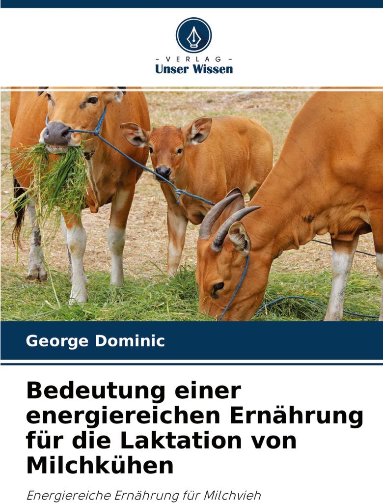 Bedeutung einer energiereichen Ernährung für die Laktation von Milchkühen