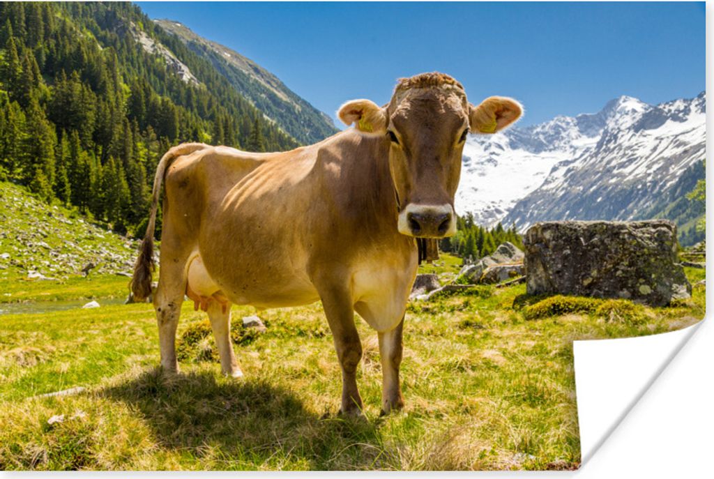 MuchoWow Poster Kuh - Schnee - Alpen 120x80 cm - Bilder