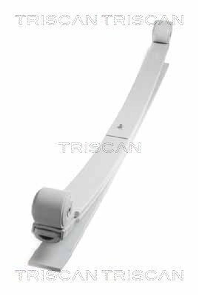 TRISCAN 8765 16042 Federpaket Hinterachse