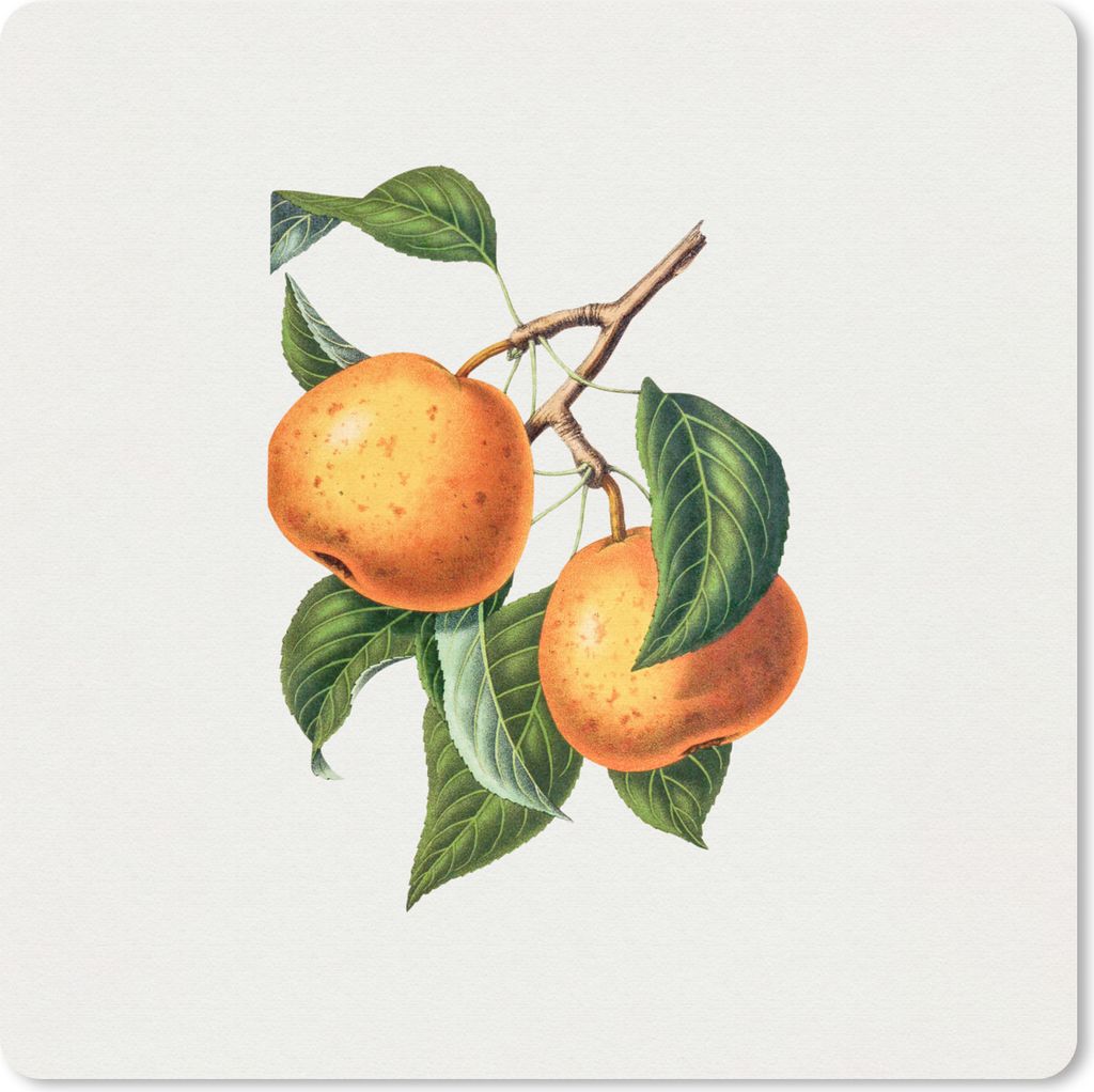 MuchoWow Mauspad Mousepad Lebensmittel - Obst - Jahrgang 30x30 cm - Mousepads - Maus Mat - Pad - Mausunterlage - Gaming