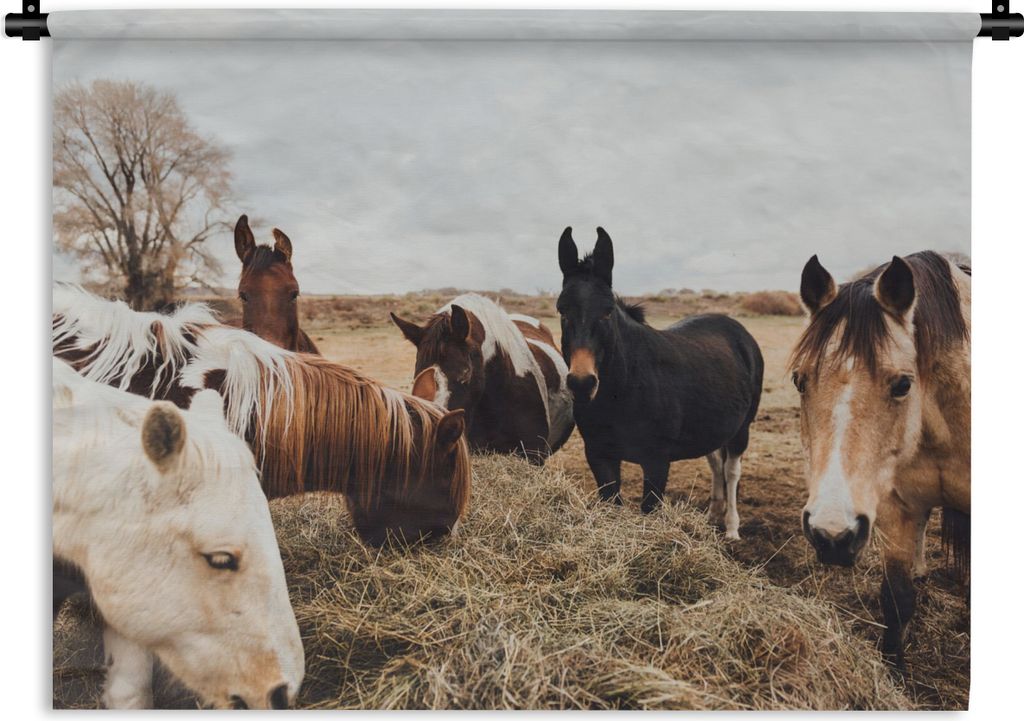 MuchoWow Wandteppich Wandbehang Tiere - Pferd 90x67.5 cm Tapisserie Dekoration Wandtuch - Fototeppich - Wand-Skulpturen