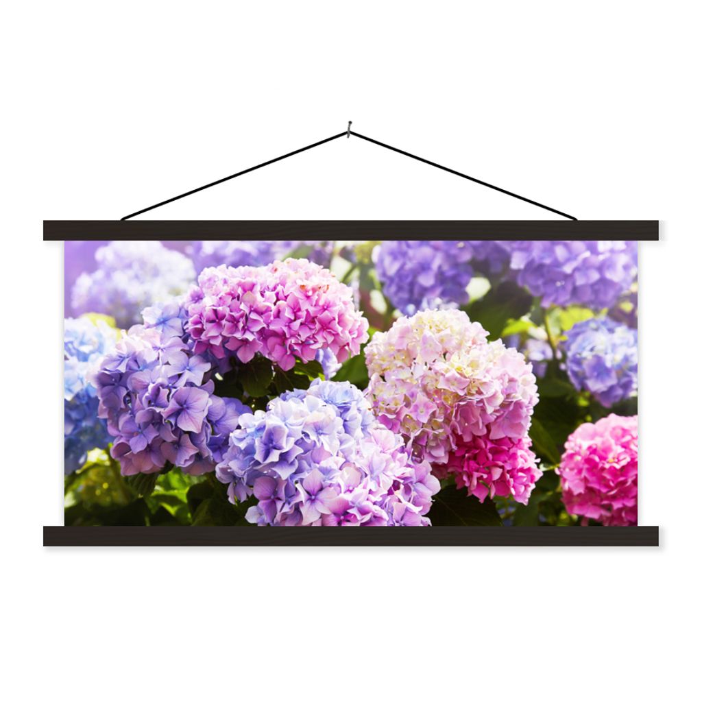 MuchoWow Textilposter Blumen - Hortensie - Rosa - Blätter - Sonne 60x30 cm mit schwarzem Rahmen - Textilien