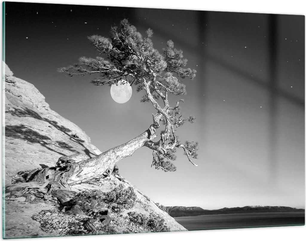 Bilder auf glas - Einteilig - Voll der Mond Baum - 120x80cm - Glasbilder - Wandbilder - Bilder - zum Aufhängen bereit - Wanddekoration aus Glas - ...