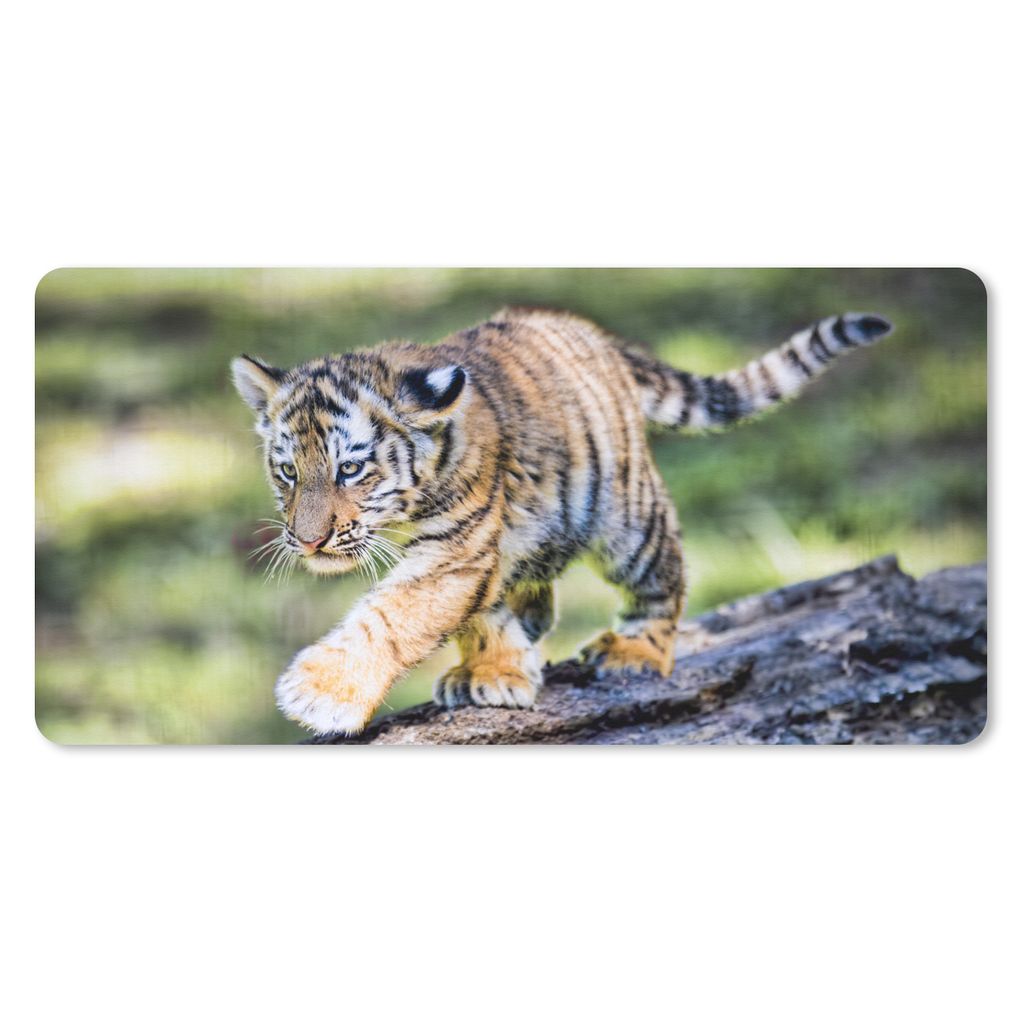 MuchoWow Schreibtischunterlage Tiger - Junge - Baum 80x40 cm - XXL Mauspad - Gaming Mauspad