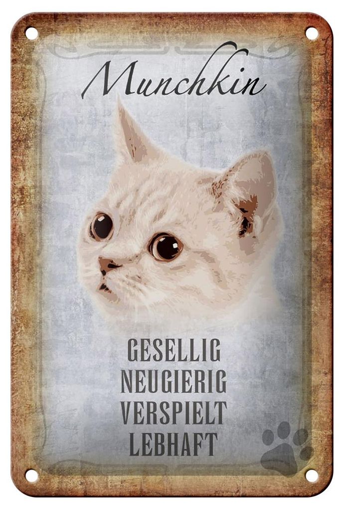 Blechschild Spruch 12x18cm Munchkin Katze lebhaft Schild Produktbild 