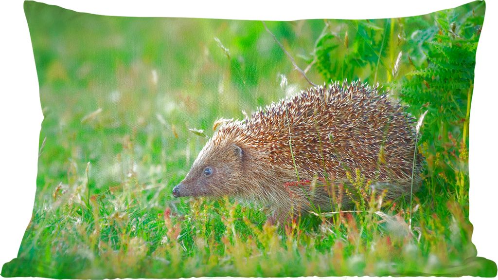 MuchoWow Zierkissen Sofakissen Wohnzimmer Dekokissen 50x30 cm Igel steht im Gras - Wohnzimmerdekoration - Polster mit Photo