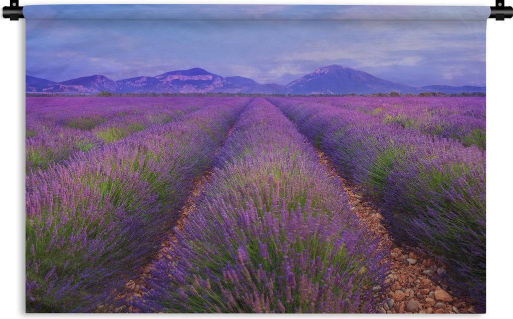 MuchoWow Wandteppich Wandbehang Lavendelfelder in der Abenddämmerung 120x80 cm Tapisserie Dekoration Wandtuch - Wanddekorationen - Wandtücher
