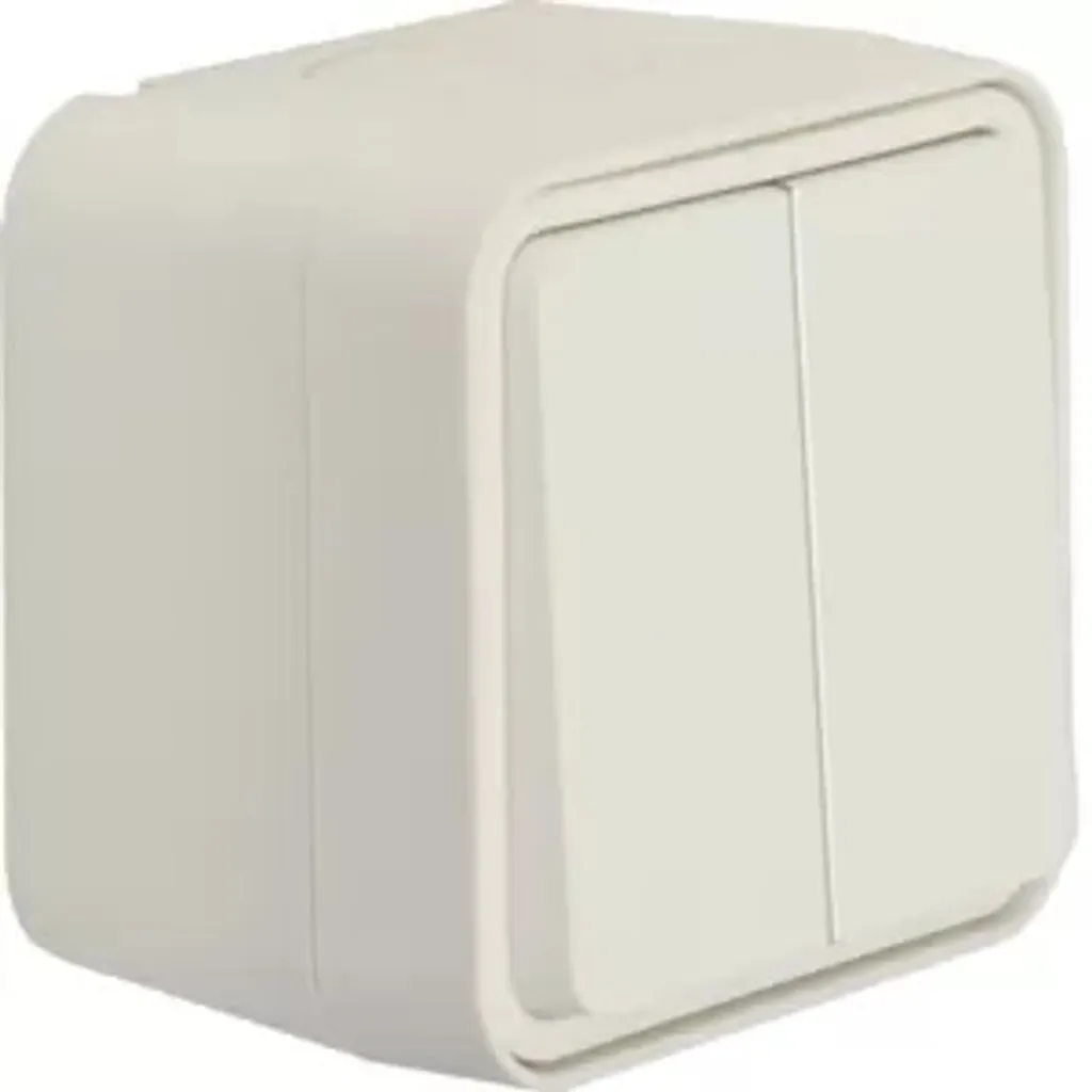 Double Interrupteur Va-et-vient Berker W.1 Blanc Polaire en Saillie AP