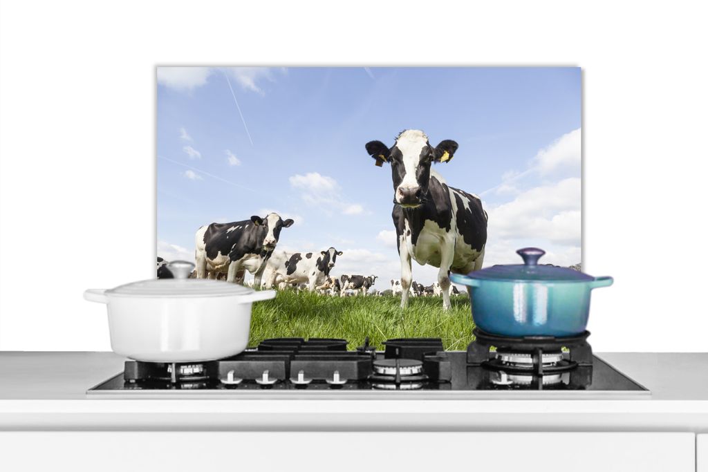 KitchenYeah Spritzschutz Küche - Küchenrückwand - Wandschutz für Herd und Spüle - Kühe - Gras - Tiere - Sonne - Bauernhof 70x50 - Alu-Dibo...