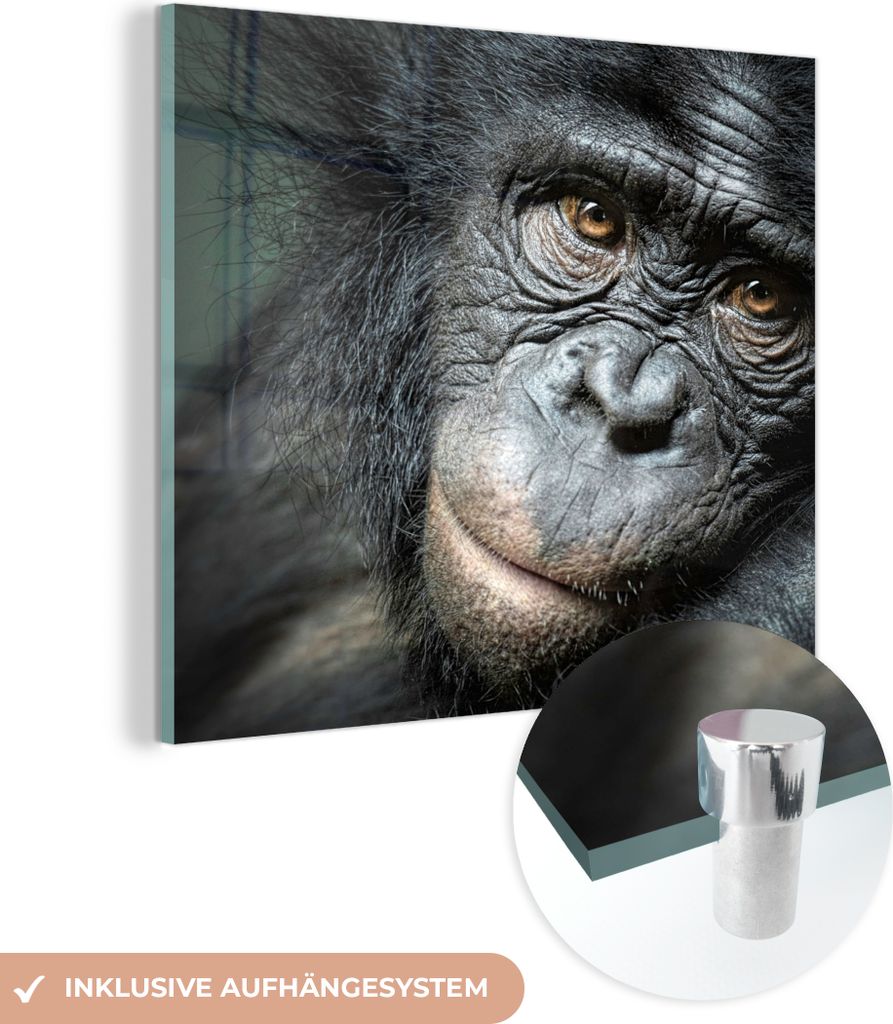 MuchoWow Glasbilder - Bilder auf Wandbild - Foto auf Glas Schimpanse - Porträt - Affe 20x20 cm Wanddekoration aus Glas - Acrylglasbild - Acrylbild...