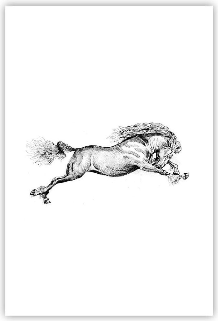 Poster - Poster ohne Rahmen - Pferd Zeichnung Bleistift - 61x91,5 cm - Wand Bild - Wanddeko - Wandbilder - Kunstposter - Wandposter - Bilder - Kuns...