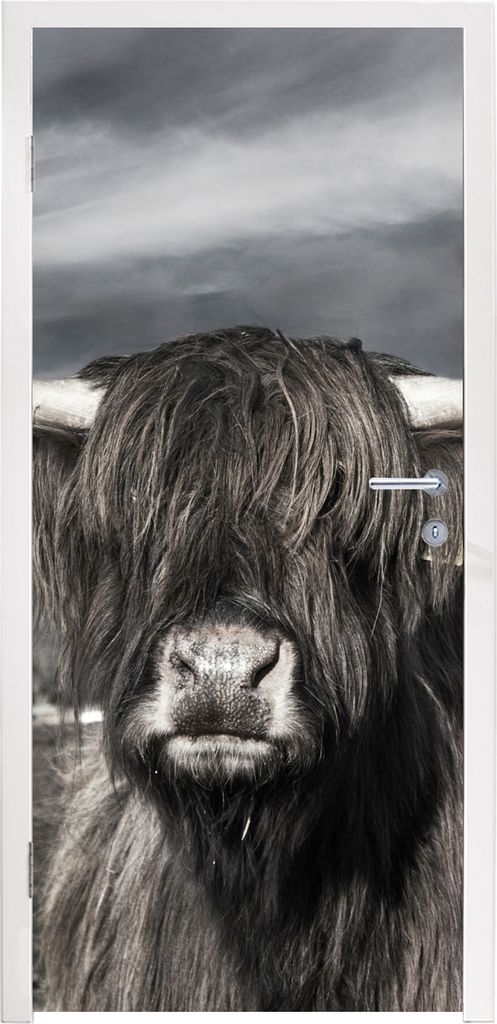 MuchoWow Türtapete Selbstklebende Türfolie Schottischer Highlander - Tiere - Hörner 75x205 cm Türposter Türaufkleber Klebefolie Türklebefol...
