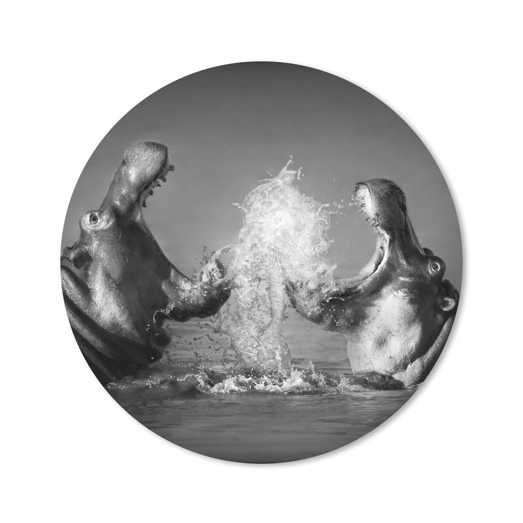 MuchoWow Mauspad Mousepad Tiere - Nilpferd - Wasser - Schwarz - Weiß 20x20 cm - Mousepads - Maus Mat - Pad - Mausunterlage - Schreibtischmatte