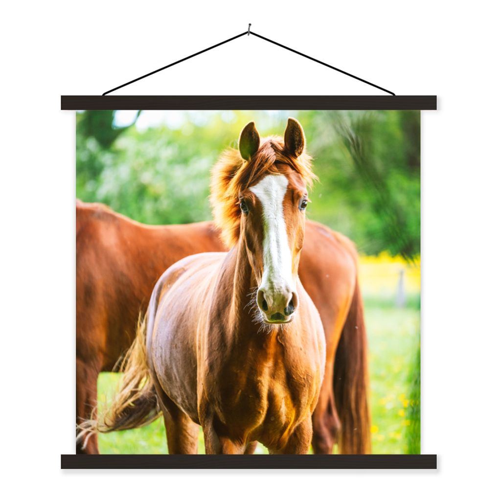 MuchoWow Textilposter Pferde - Licht - Wiese 40x40 cm mit schwarzem Rahmen - Fotos