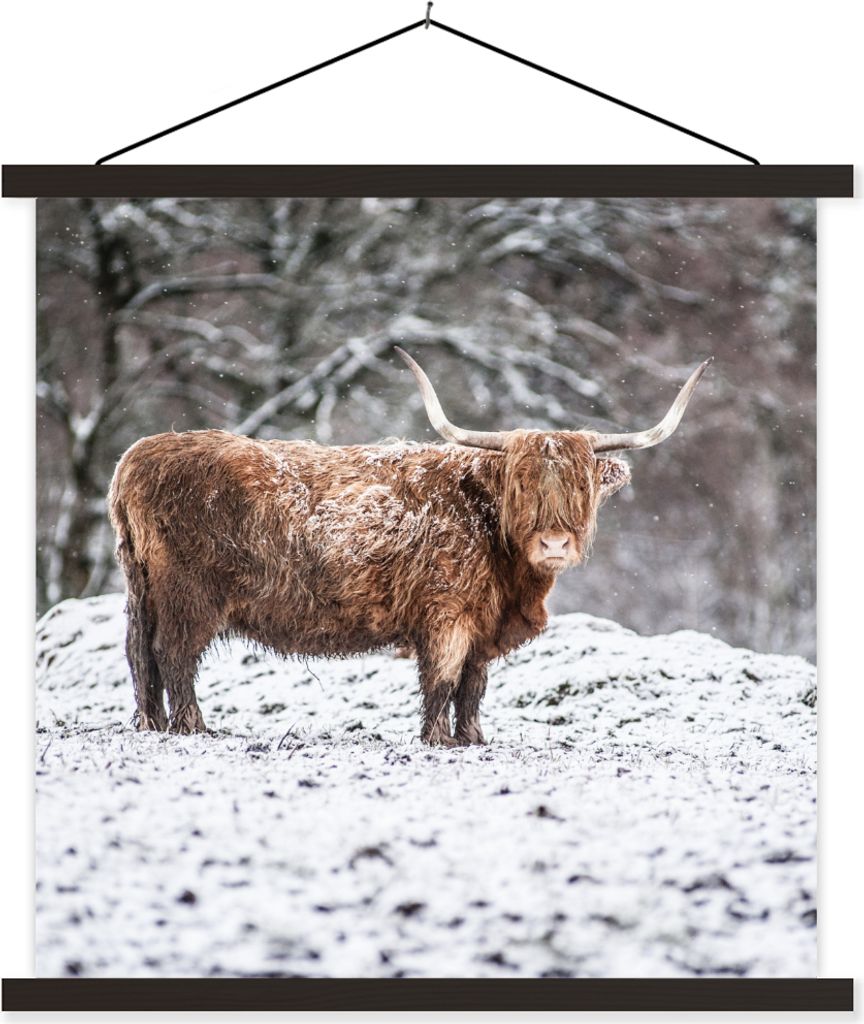 MuchoWow Textilposter Schottisches Hochlandrind - Baum - Schnee 60x60 cm mit schwarzem Rahmen - Posteraufhänger