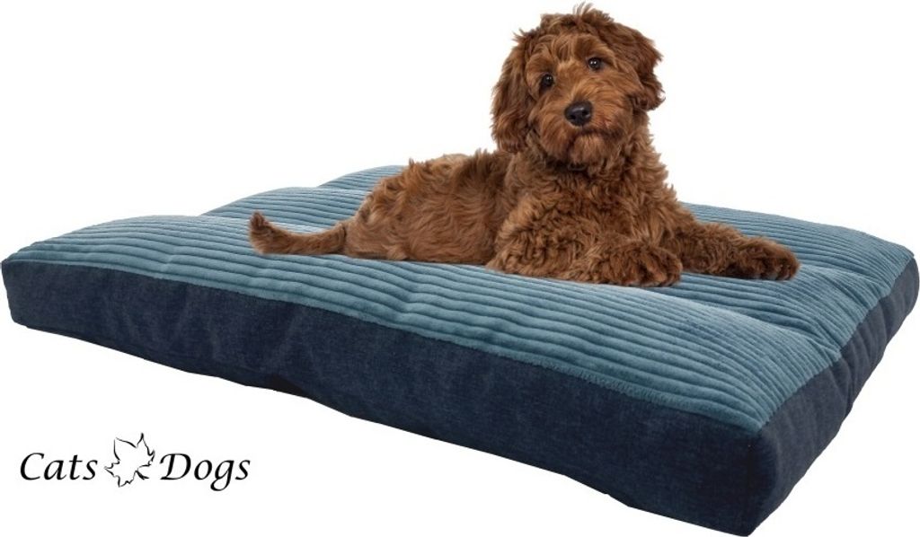 Platan Sofa Hundematten Cats&Dogs S, abnehmbarer Bezug– 60 x 47 x 8 cm– kleine Hunde Farbe: Blau und Türkisblau – Haustierbett Hundesofa Hun...