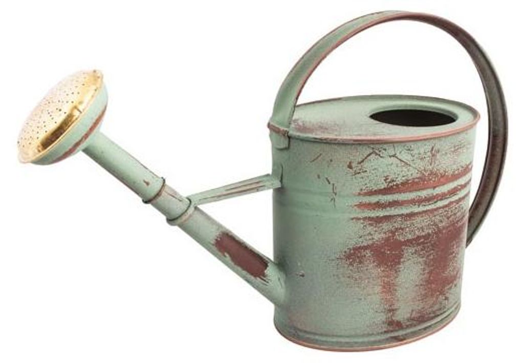 Arrosoir Ovale 4l Vert Vieilli - Guillouard Nogent Image du produit 