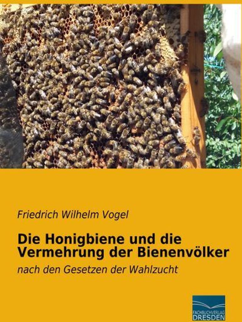 Die Honigbiene und die Vermehrung der Bienenvölker