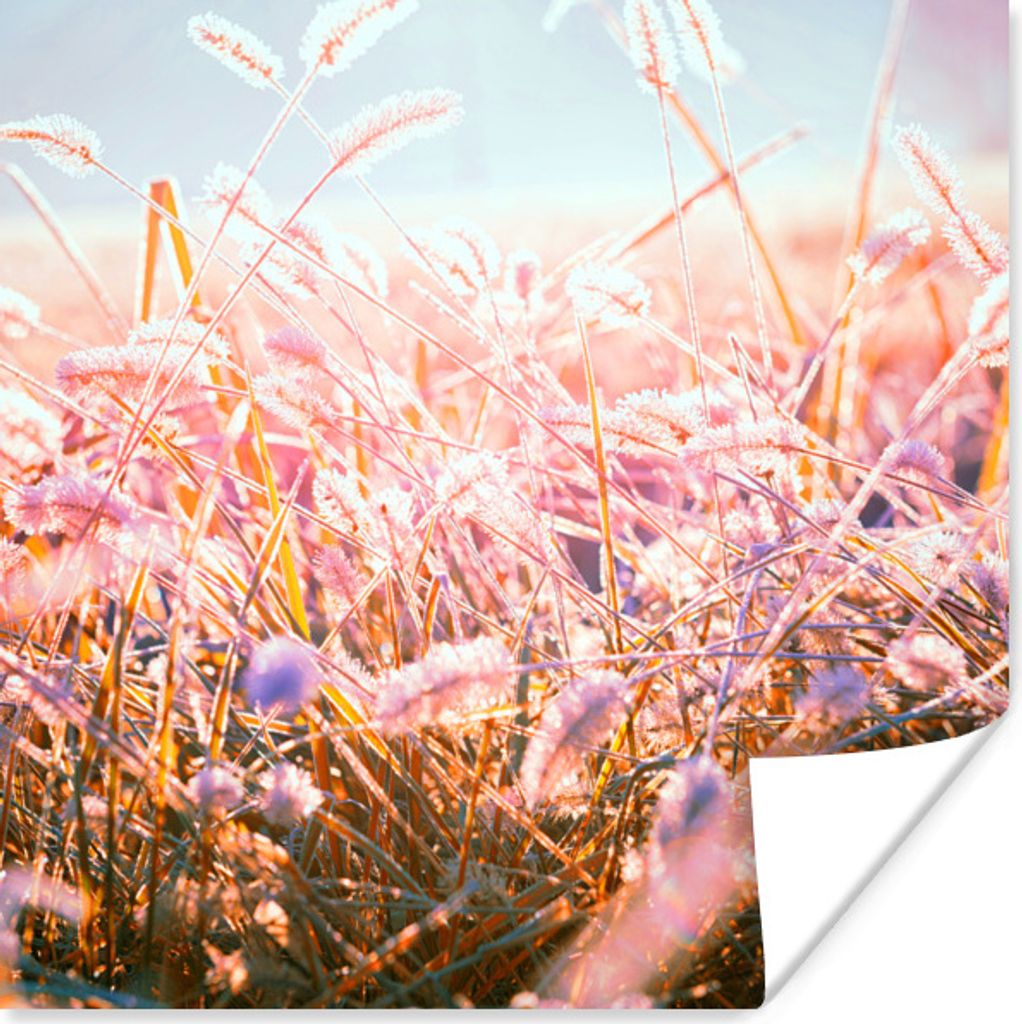 MuchoWow Poster Winter - Tau - Morgen 75x75 cm - Wand Dekoration