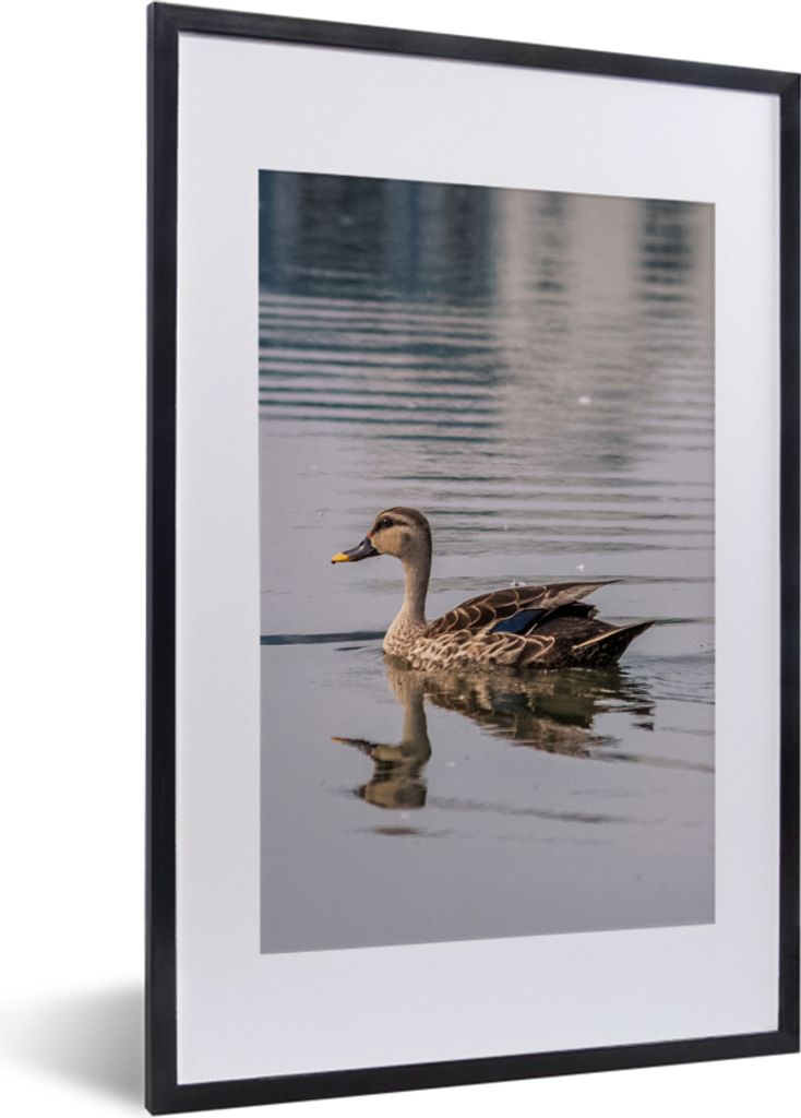 MuchoWow Gerahmtes Poster Ente - Wasser - Vogel - Braun 40x60 cm - Poster mit Schwarzem Bilderrahmen Wandposter Rahmen Foto Bilder - Poster in Ra...