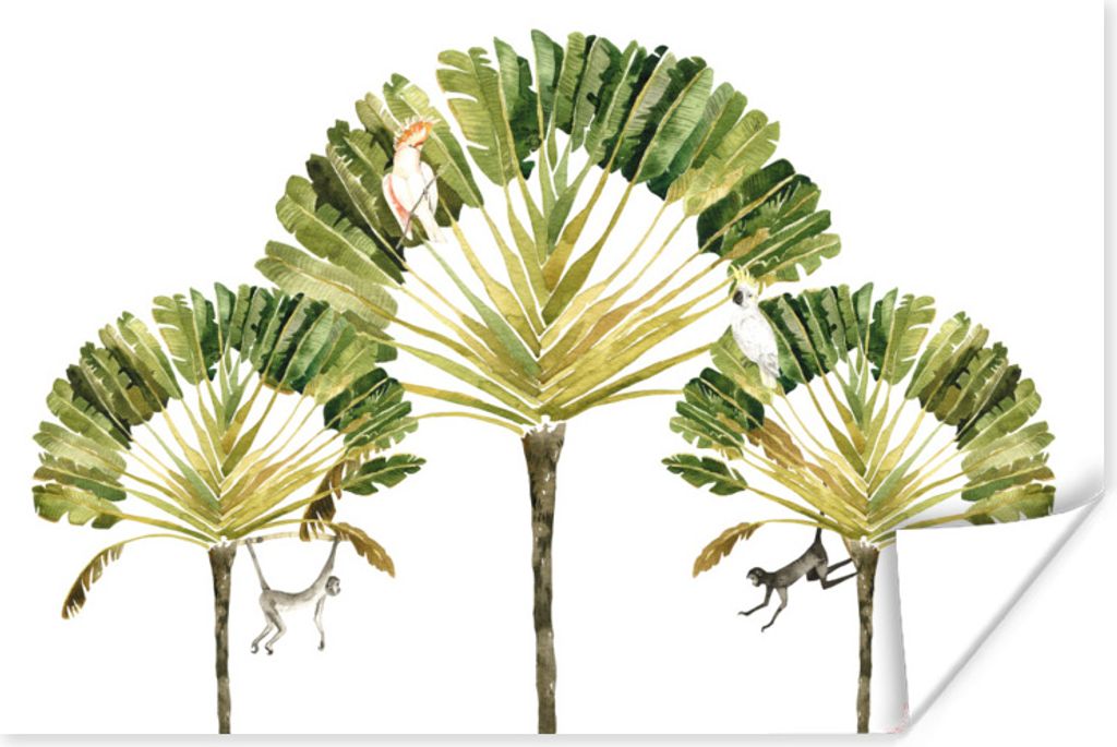 MuchoWow Poster Dschungel - Kakadu - Baum 180x120 cm - Fotoplakat